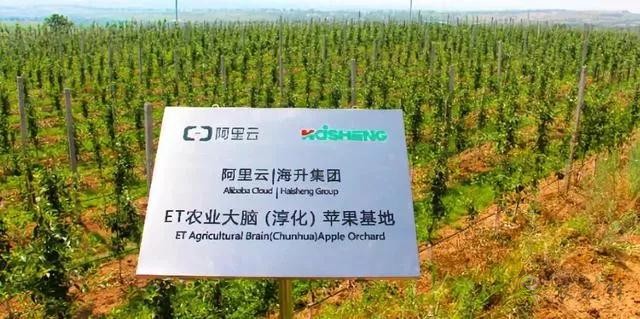 未來農(nóng)業(yè)價值可期！阿里、京東、華為，碧桂園紛紛發(fā)力數(shù)字農(nóng)業(yè)