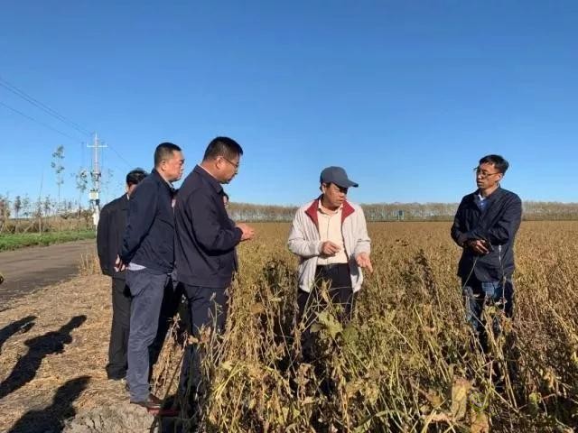 未來農(nóng)業(yè)價值可期！阿里、京東、華為，碧桂園紛紛發(fā)力數(shù)字農(nóng)業(yè)