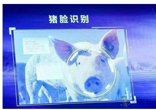 豬臉識(shí)別？——阿里巴巴新研發(fā)智能農(nóng)業(yè)平臺(tái)