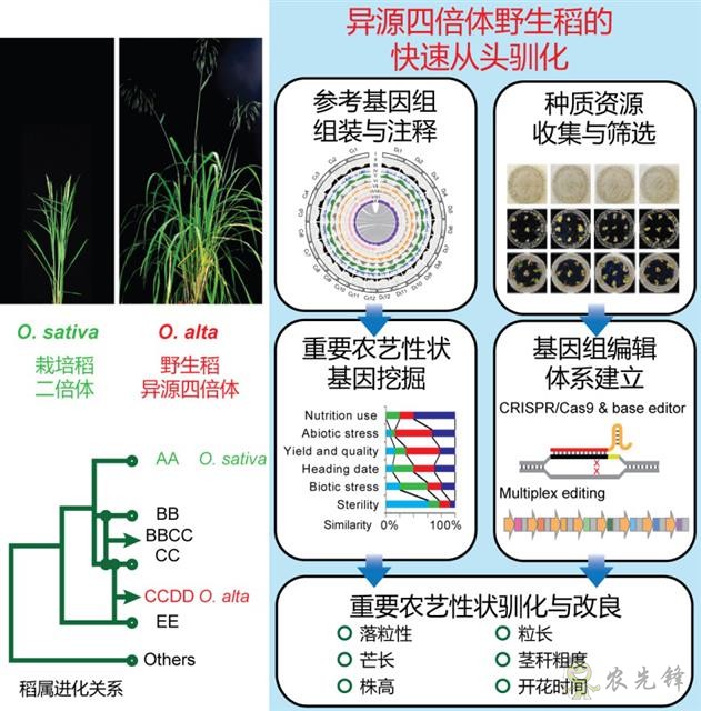農業(yè)科普