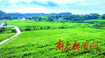 儀隴：發(fā)展現(xiàn)代農(nóng)業(yè) 引領鄉(xiāng)村振興