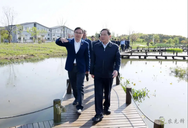 上海市委書記李強談鄉村振興：三個價值、三個空間、三個趨勢