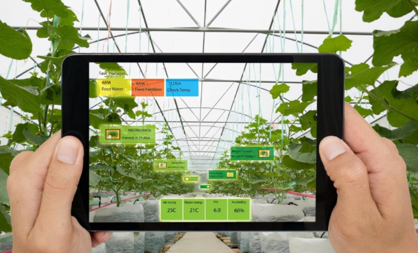 農(nóng)業(yè)物聯(lián)網(wǎng)是什么？對農(nóng)業(yè)的好處到底在哪里？