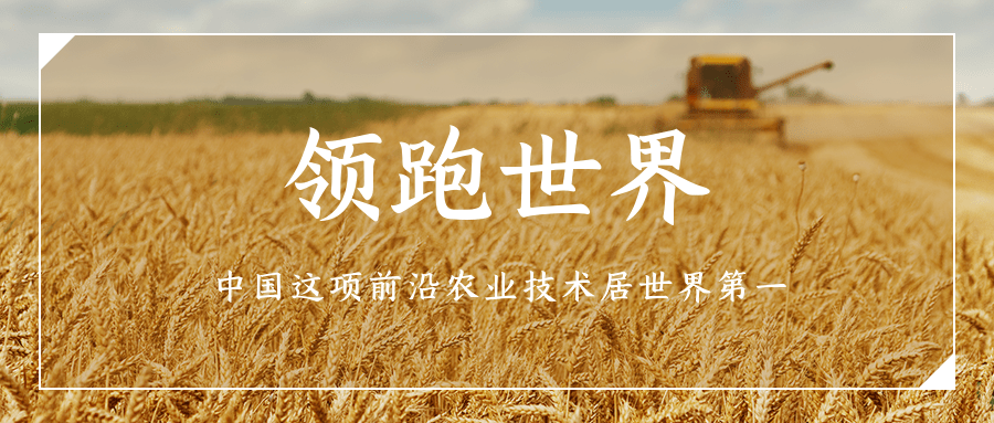 領(lǐng)跑世界:中國(guó)這項(xiàng)前沿農(nóng)業(yè)技術(shù)居世界第一