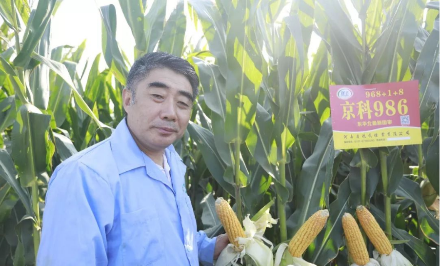 深度透視！農業“芯片”：中國種子戰略
