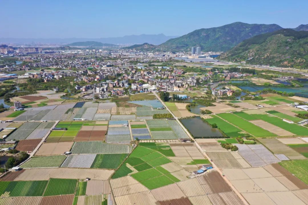 孫中華：發(fā)展新型集體經(jīng)濟 促進鄉(xiāng)村振興和共同富裕
