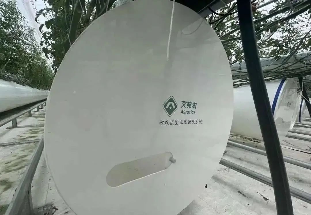 棚內28攝氏度！嘉興這里的數字農業車間很“清涼”