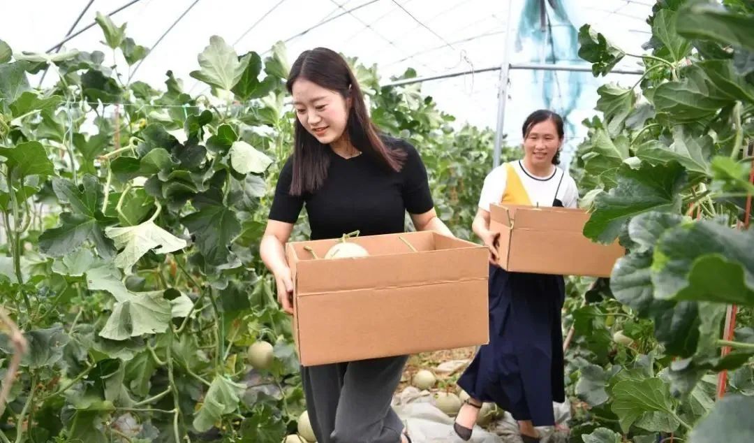 【縣域農業】縣域是未來農業品牌建設的主戰場！