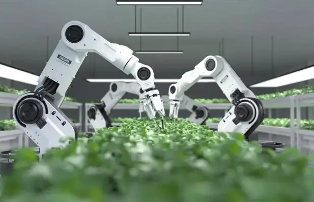 數字化轉型浪潮中的農業(yè)機器人