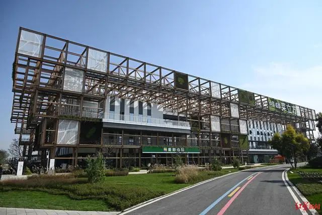3.36億畝近8億噸！《2023年中國蔬菜產業發展報告》發布