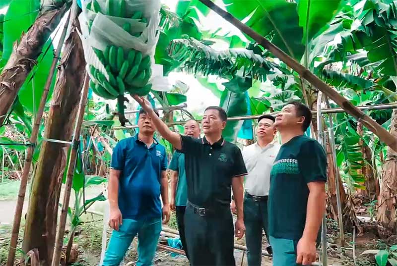 菌肥時代來了！治理土壤“疑難雜癥”引領綠色農業新風尚
